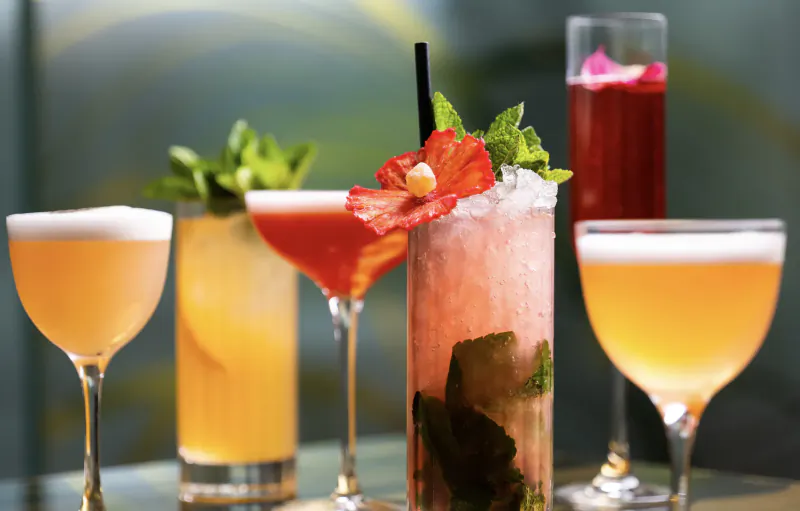Assortment of elegant cocktails on a bar surface: foamy sours, fruity martinis, hibiscus and mint garnishes.