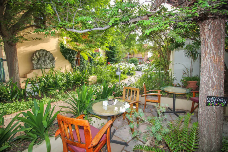 Lush garden patio at Montagu Country Hotel with wooden chairs around a small table under vine-covered trees and adobe walls.