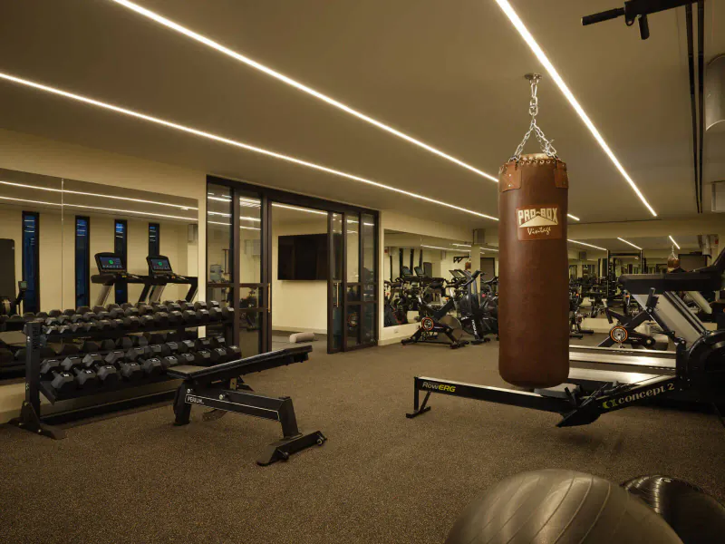 Modern gym interior with punching bag, treadmills, weights, and exercise bikes at The Other House.