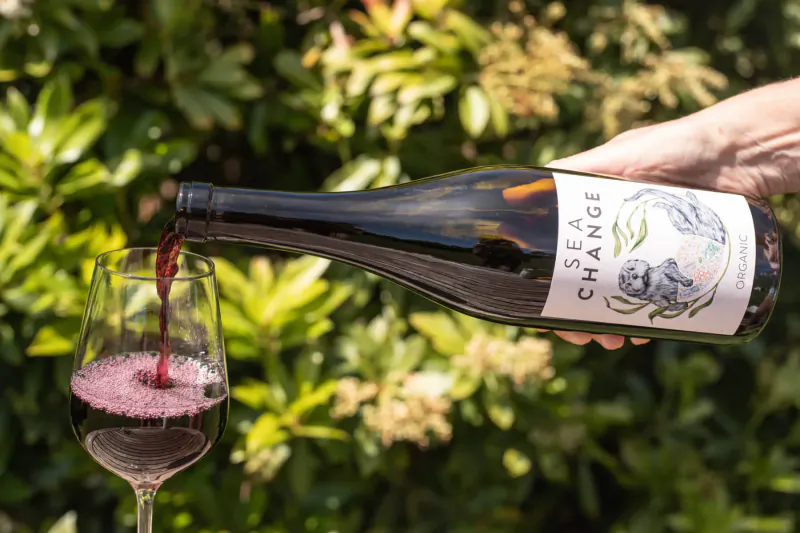 Hand pouring Sea Change red wine from bottle into glass amid lush green foliage