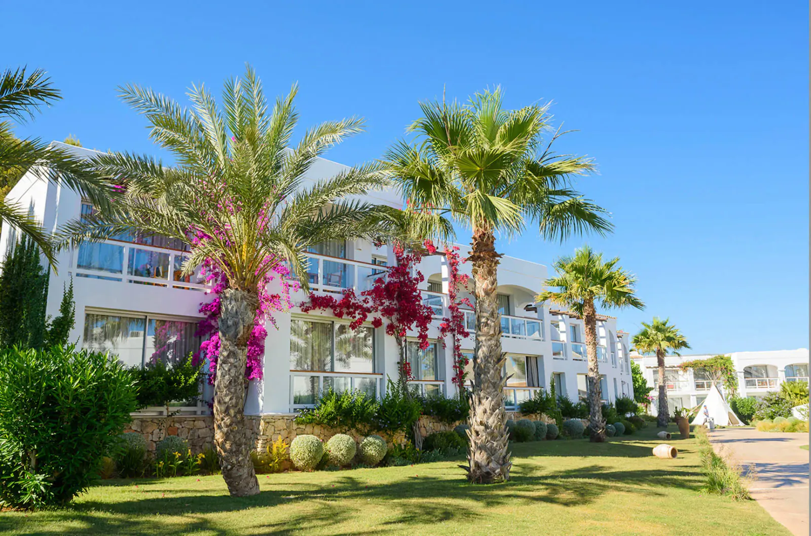 White Destino Pacha Ibiza hotel building with palm trees, pink bougainvillea, and lush green lawn under blue sky