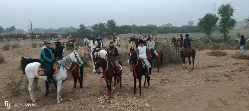 Group of riders on Marwari horses gathered in arid Rajasthan field near havelis, misty weather.