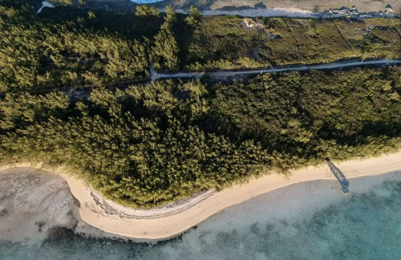 Aerial view of Lot 43 Bottom Harbour Beachfront: lush green mangroves lining a sandy beach curving into turquoise ocean waters.