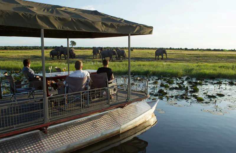 Tourists seated on a safari boat in Botswana wetlands, watching wild elephants graze at sunset.
