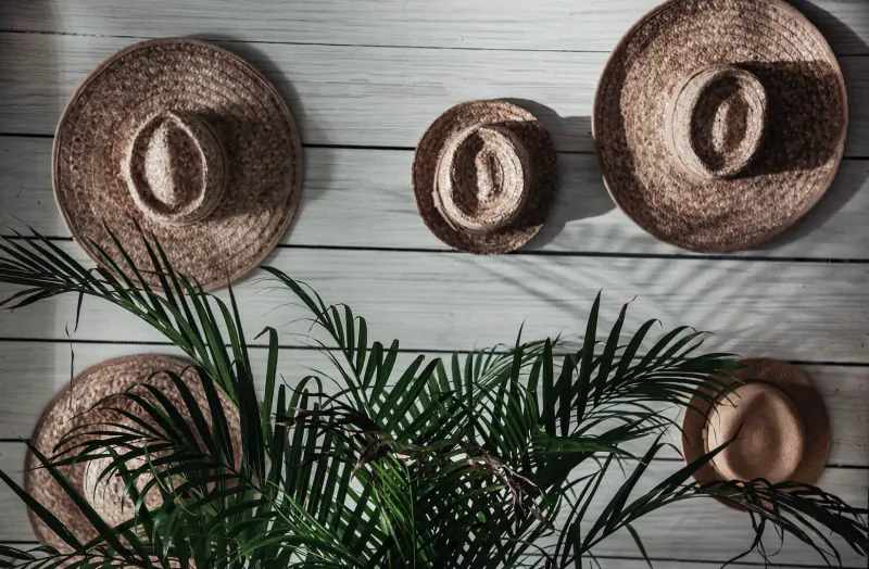 Assortment of tan straw hats in various sizes arranged on a white wooden wall with green palm fronds.