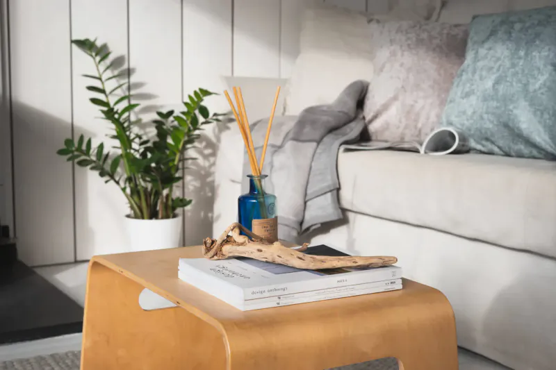 Cozy boutique retreat corner: wooden side table with white book, driftwood, blue vase of reed diffuser, ZZ plant, pillows on sofa
