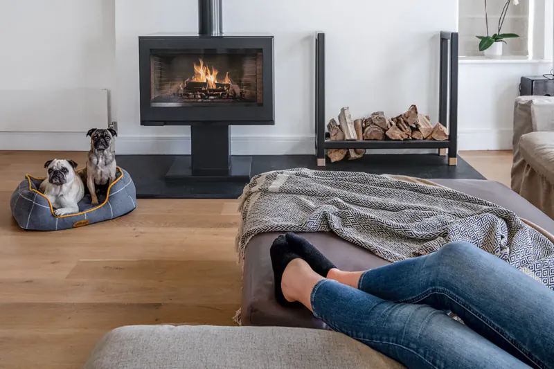 Two pugs in blue dog bed near burning fireplace; woman's legs in jeans and socks on gray sofa with throw blanket