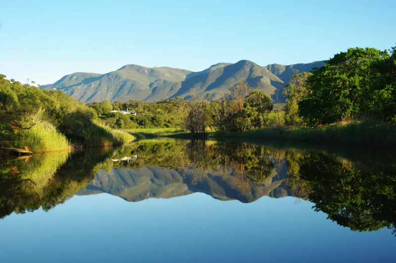 Serene Klein River meandering through lush greenery towards Hermanus Estuary, with mountains and clear reflections in calm waters.