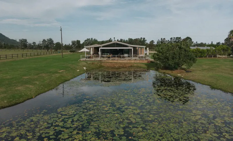 Kay & Monty Vineyards: modern house with deck by lily pad pond, green lawns, rural vineyard setting on Plett Wine Route
