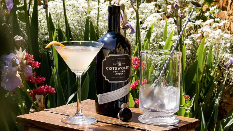Cotswolds Dry Gin martini with orange twist and ice-filled glass stirrer on wooden table amid garden flowers