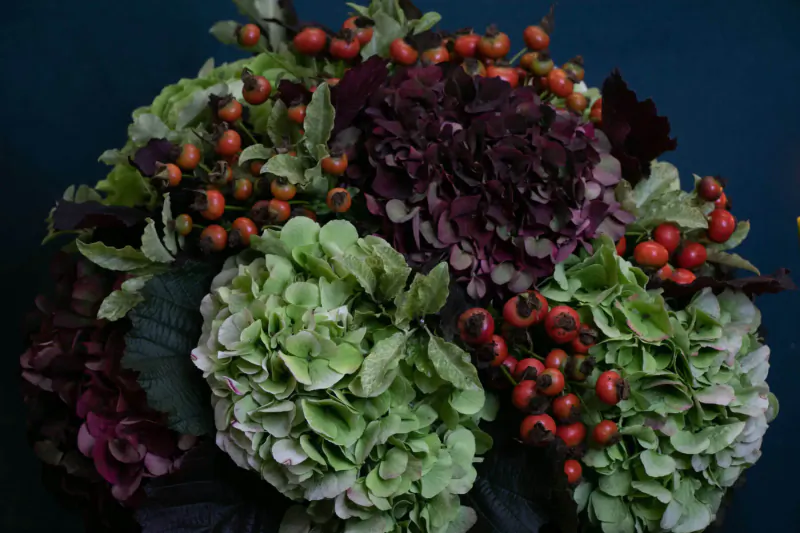 Vibrant bouquet of green and purple hydrangeas with red rose hips and leaves on navy background