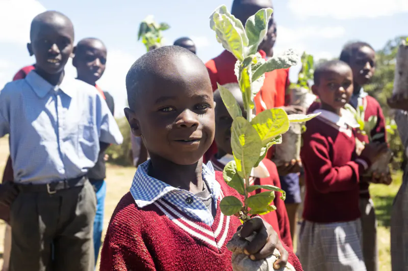 Smiling African schoolchildren in uniforms holding green seedlings outdoors under blue sky