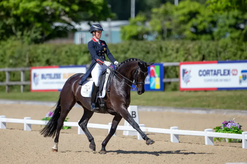 Rider in navy uniform on dark horse performing dressage at Hickstead Derby arena with Cortaflex banners