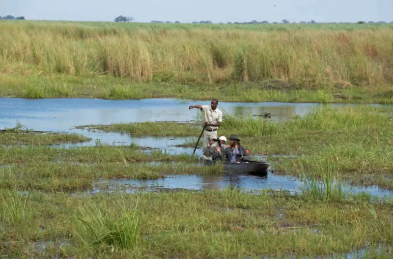 African safari guide poling a canoe with passengers through lush wetlands and tall grasses