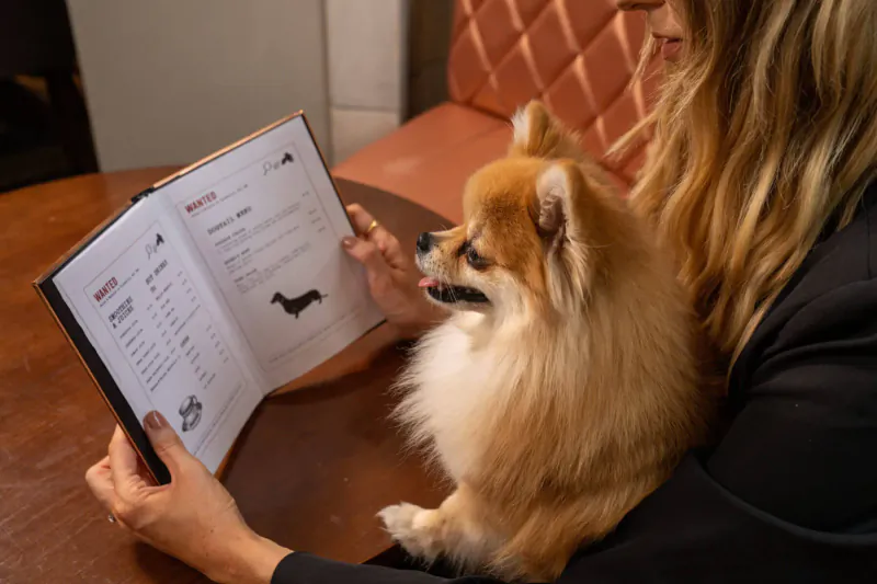 Woman holding open restaurant menu with Pomeranian dog on lap at Sheraton Grand London Park Lane table