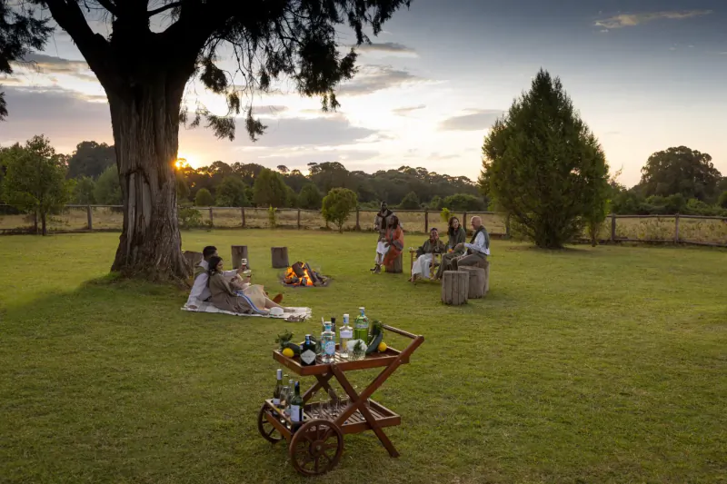 Group in traditional attire picnicking under large tree at sunset near Mount Kenya, with bar cart and fire.