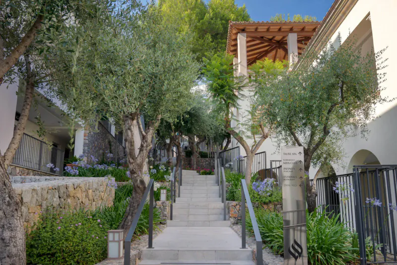 Stone steps lined with olive trees, lavender, and gardens leading to Jumeirah Port Soller Hotel & Spa buildings under blue sky.
