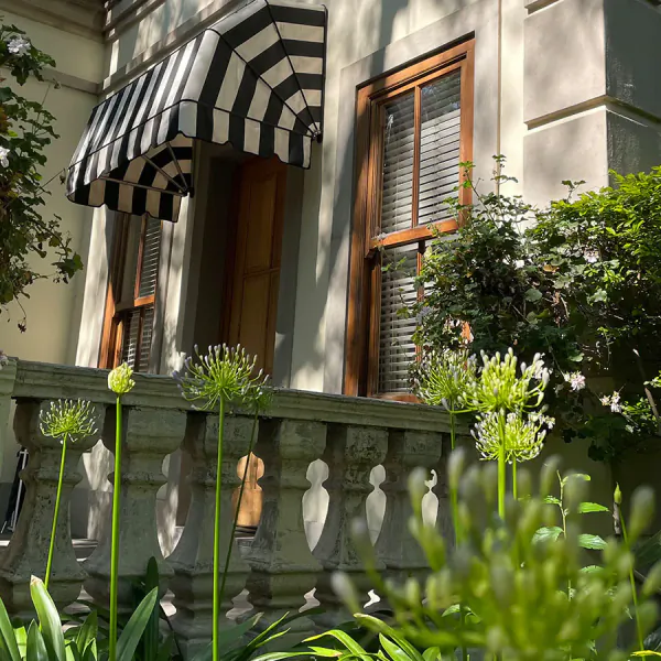 Close-up of stone balustrade with agapanthus flowers, black-and-white awning, wooden door, and windows on beige house exterior.