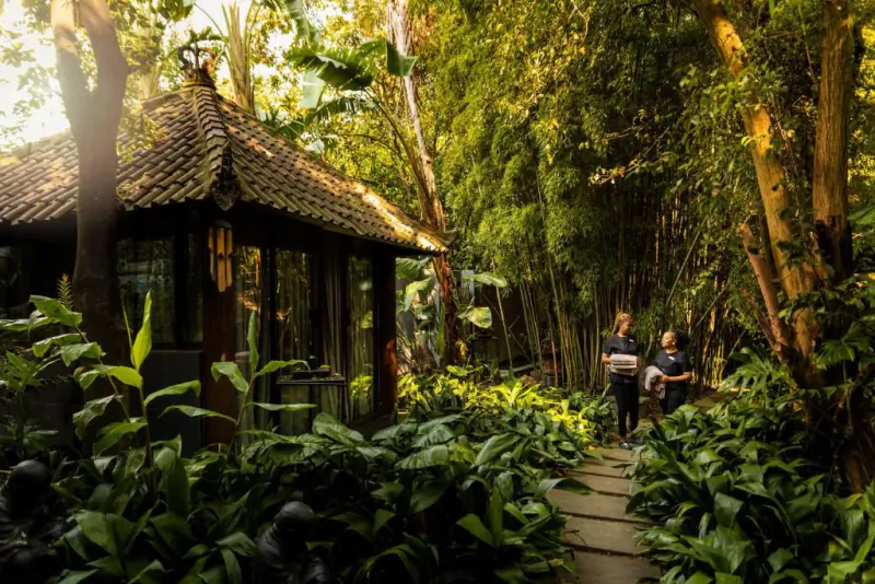 Two people walking on stone path through lush tropical garden toward traditional thatched pavilion surrounded by ferns and trees.