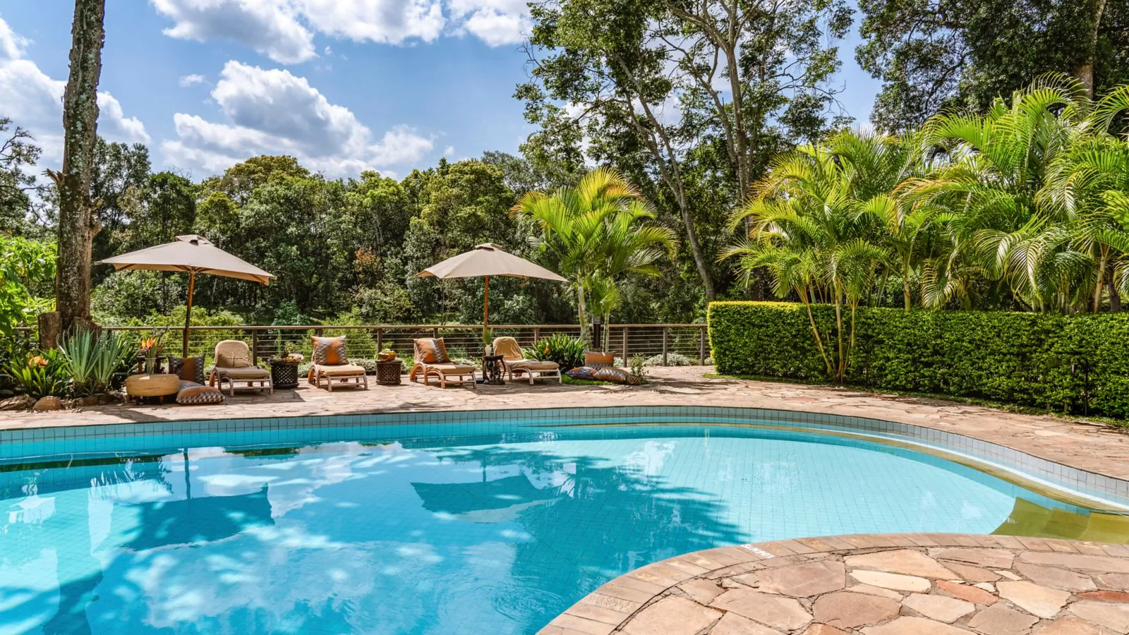 Fairmont Mara Safari Club pool with loungers under umbrellas, surrounded by lush tropical gardens and trees in Kenya.