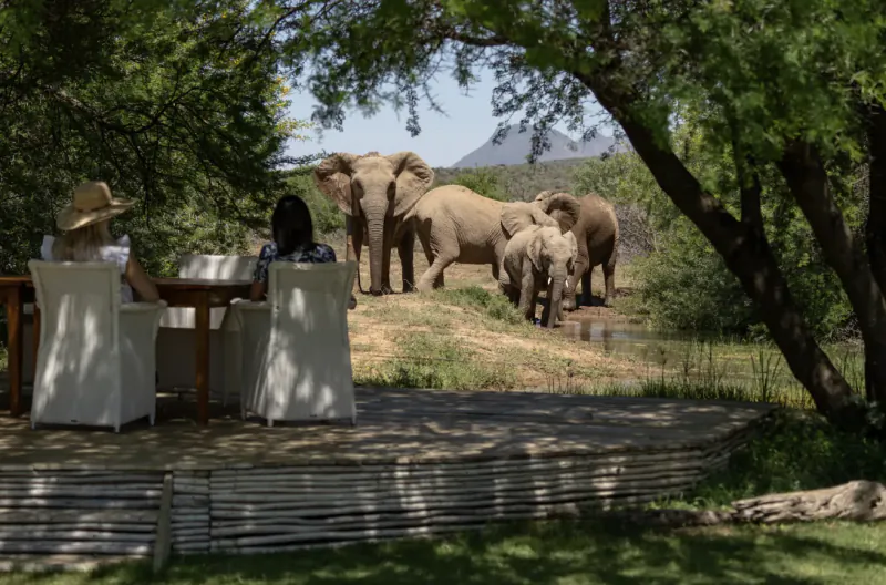 Two women seated at outdoor table on deck, watching herd of elephants drink by stream amid trees and mountains at safari villa