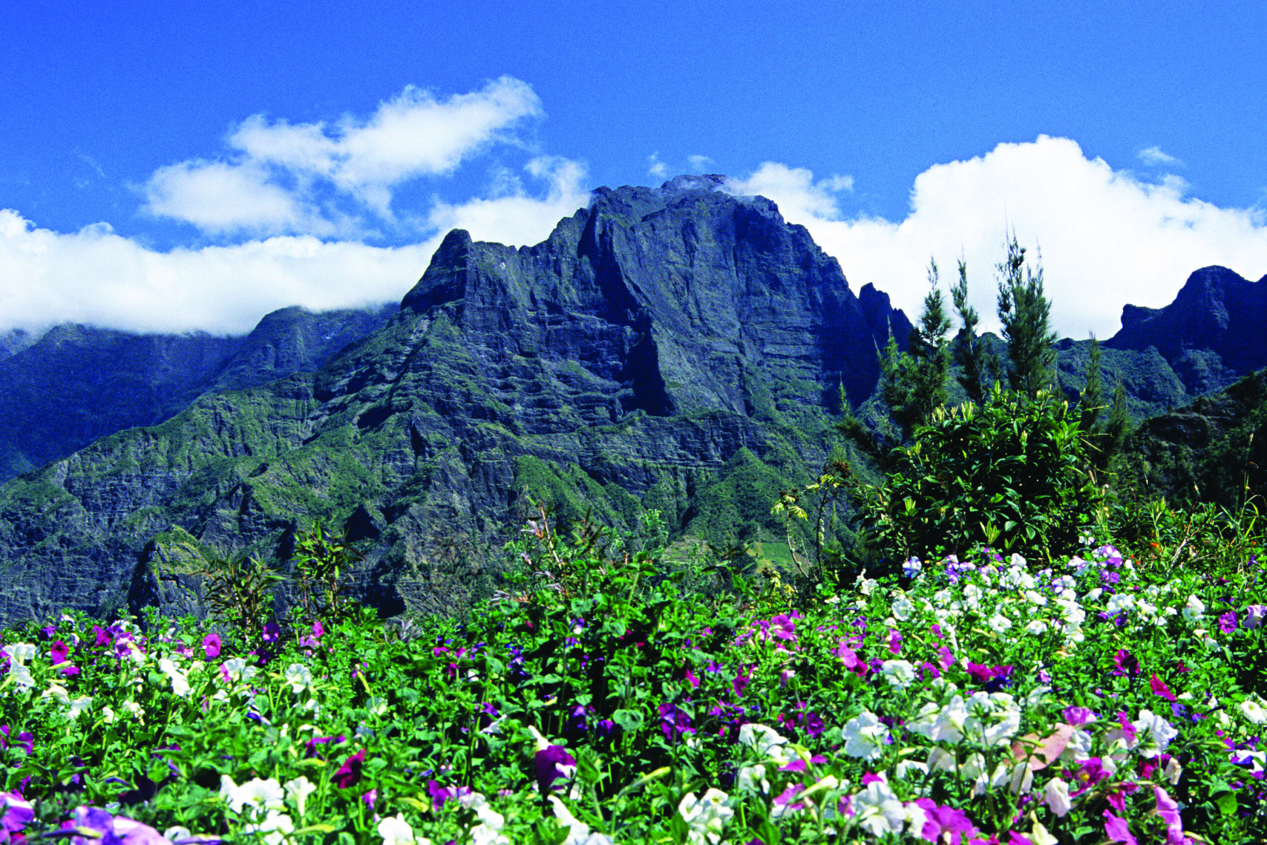 Lush green mountains under blue sky with white clouds, foreground of colorful wildflowers and trees