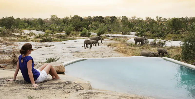 Woman in blue top and white shorts sits by infinity pool overlooking savanna with wild elephants at sunset.