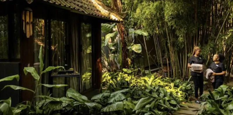 Two women stand on a wooden path outside a wooden building surrounded by lush green plants and bamboo trees