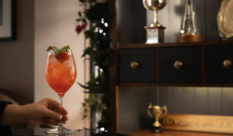 Hand holding a stemmed glass of pink cocktail garnished with raspberry and mint leaves