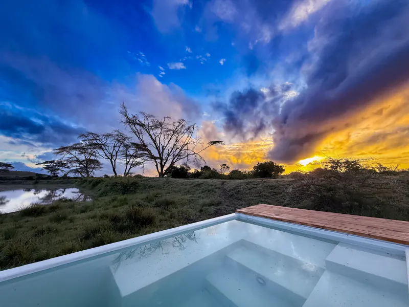 Outdoor plunge pool overlooking a savanna sunset with acacia trees and dramatic clouds