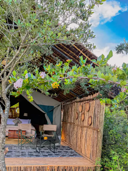 Luxury safari tent with wooden deck, two chairs, and lush greenery under a thatched roof