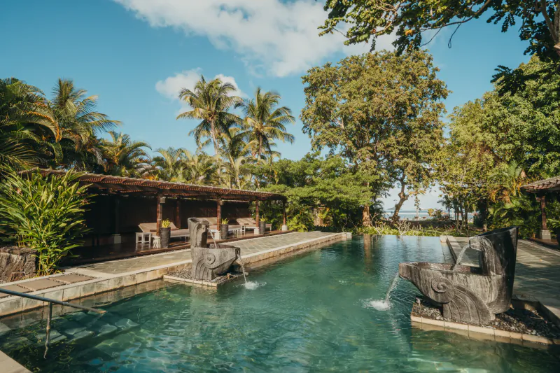 Tropical resort infinity pool with stone elephant fountains, palm trees, and ocean view under blue sky