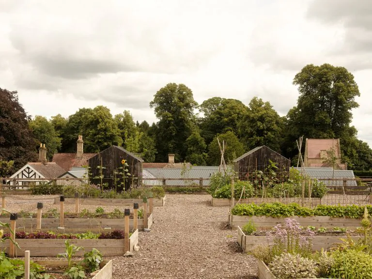 Vegetable garden with raised beds and gravel path leading to rustic farm buildings and trees