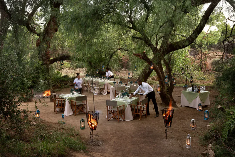 Waitstaff setting elegant outdoor dining tables under large trees with lanterns and fire pits at dusk