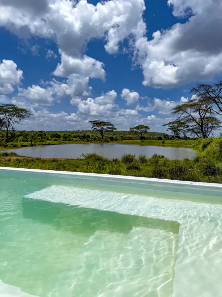 Infinity pool overlooking a savanna waterhole with acacia trees under a blue sky with clouds