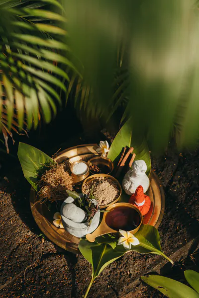 Brass tray with spa items including powders, oils, stones, cinnamon, and Buddha statue on leaves with frangipani flowers