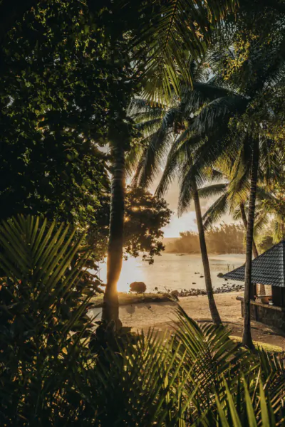 Sunset over a tropical beach with palm trees, lush foliage, and a thatched-roof building by the water