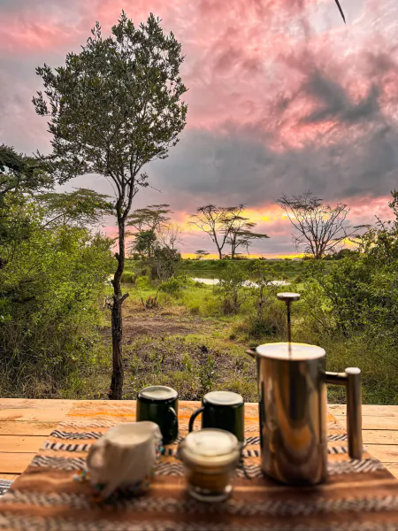 French press coffee maker and mugs on wooden table overlooking savanna landscape at sunset