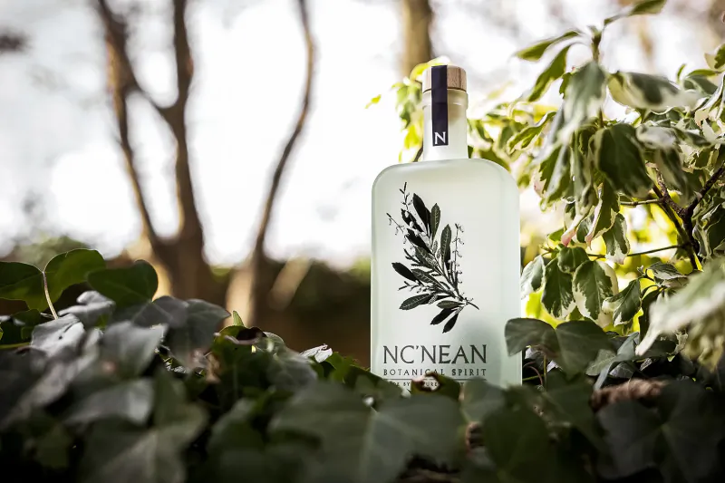 Nc'nean Botanical Spirit bottle surrounded by green leaves outdoors