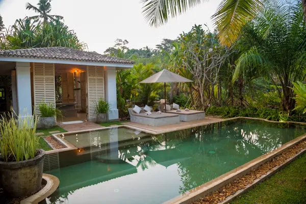 Luxury tropical villa with pool, lounge area, and lush palm garden at dusk