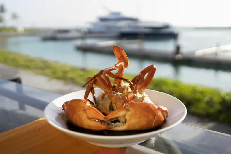 Cooked crab on a white plate with a luxury yacht and marina in the background