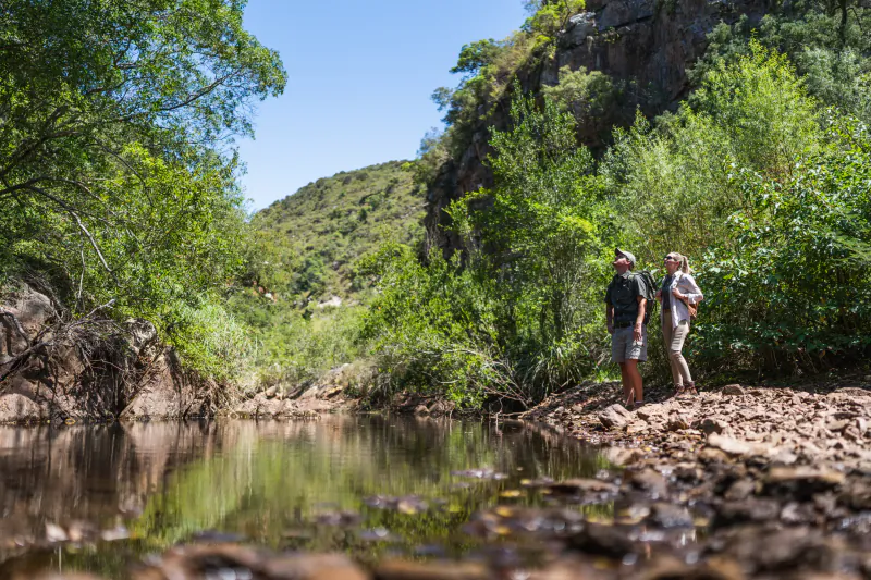 Two hikers stand on a rocky riverbank in a lush green canyon under a clear blue sky