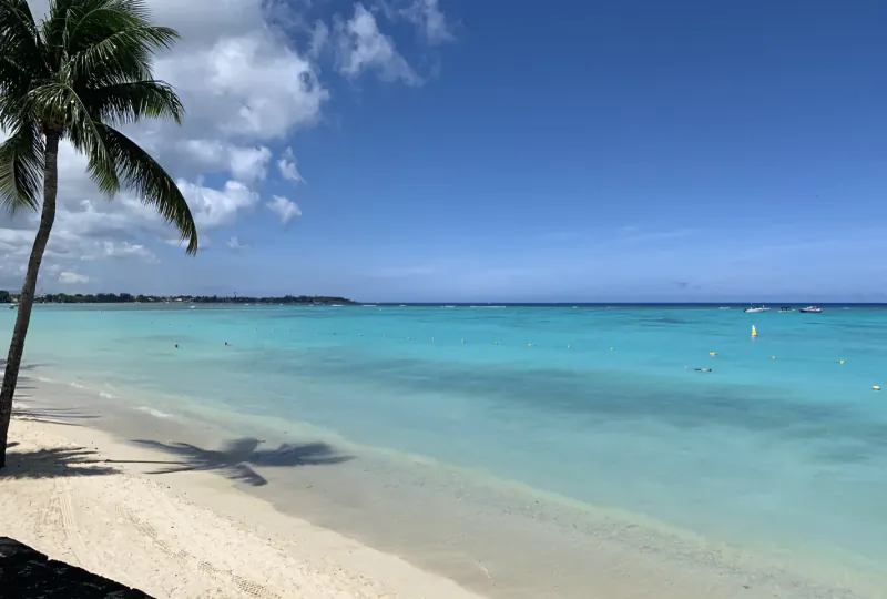Tropical beach with palm tree, turquoise water, and distant boats under a blue sky