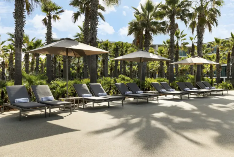 Row of empty lounge chairs with striped towels under beige umbrellas on a sunny palm-lined resort patio