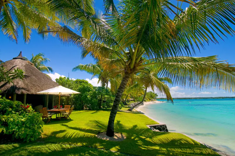 Tropical beachfront villa with thatched roof, palm trees, and ocean view in Mauritius