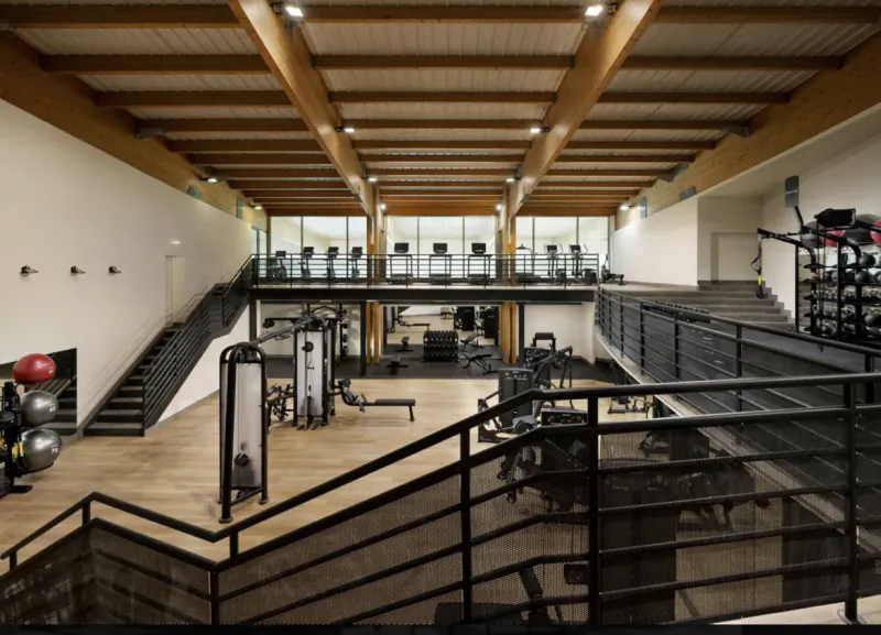Modern two-level gym with wooden ceiling, weight machines, treadmills, and large windows overlooking the fitness area