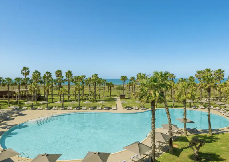 Aerial view of a large resort pool with lounge chairs, palm trees, and ocean view under clear blue sky