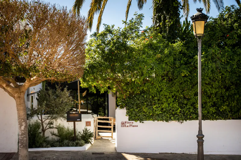 Sunny courtyard entrance with white walls, green foliage, a vintage lamppost, and a sign reading 'Ibiza Mikasa'