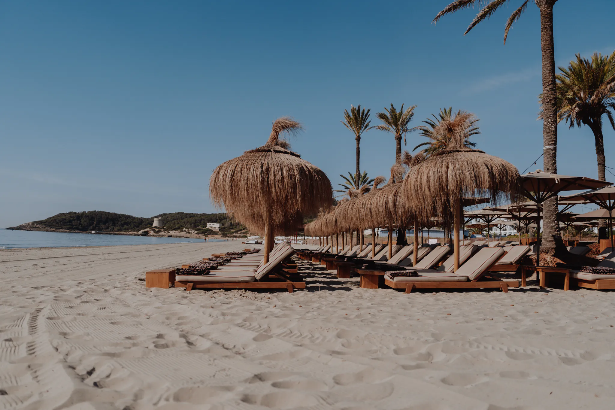 Row of thatched straw umbrellas and wooden sun loungers on a sandy beach with palm trees and blue sky