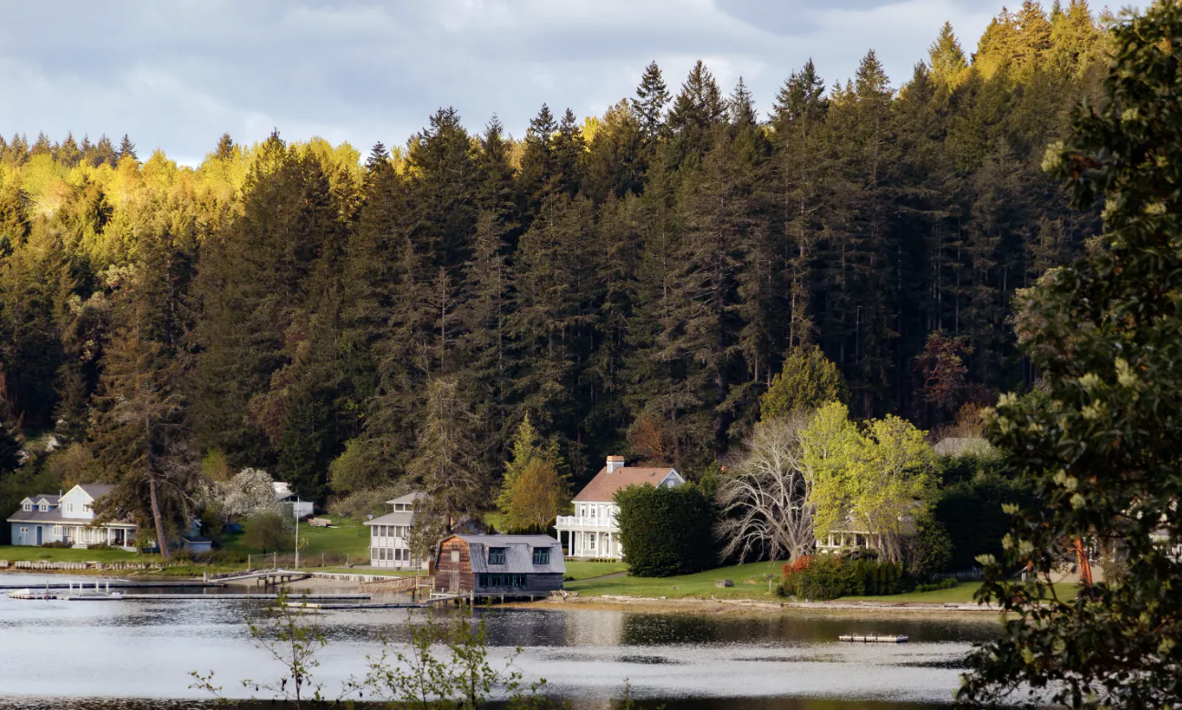 Lakeside homes with docks nestled among autumn trees and dense forest under a cloudy sky